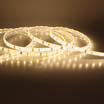 Светодиодная лента SMD 5050 120 св/м 24В (двухслойная) белый холодный + теплый